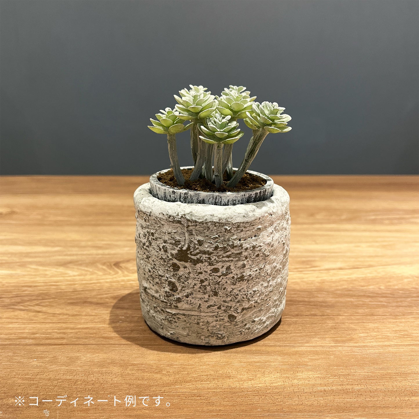 ラフストーンポット_コーディネート例