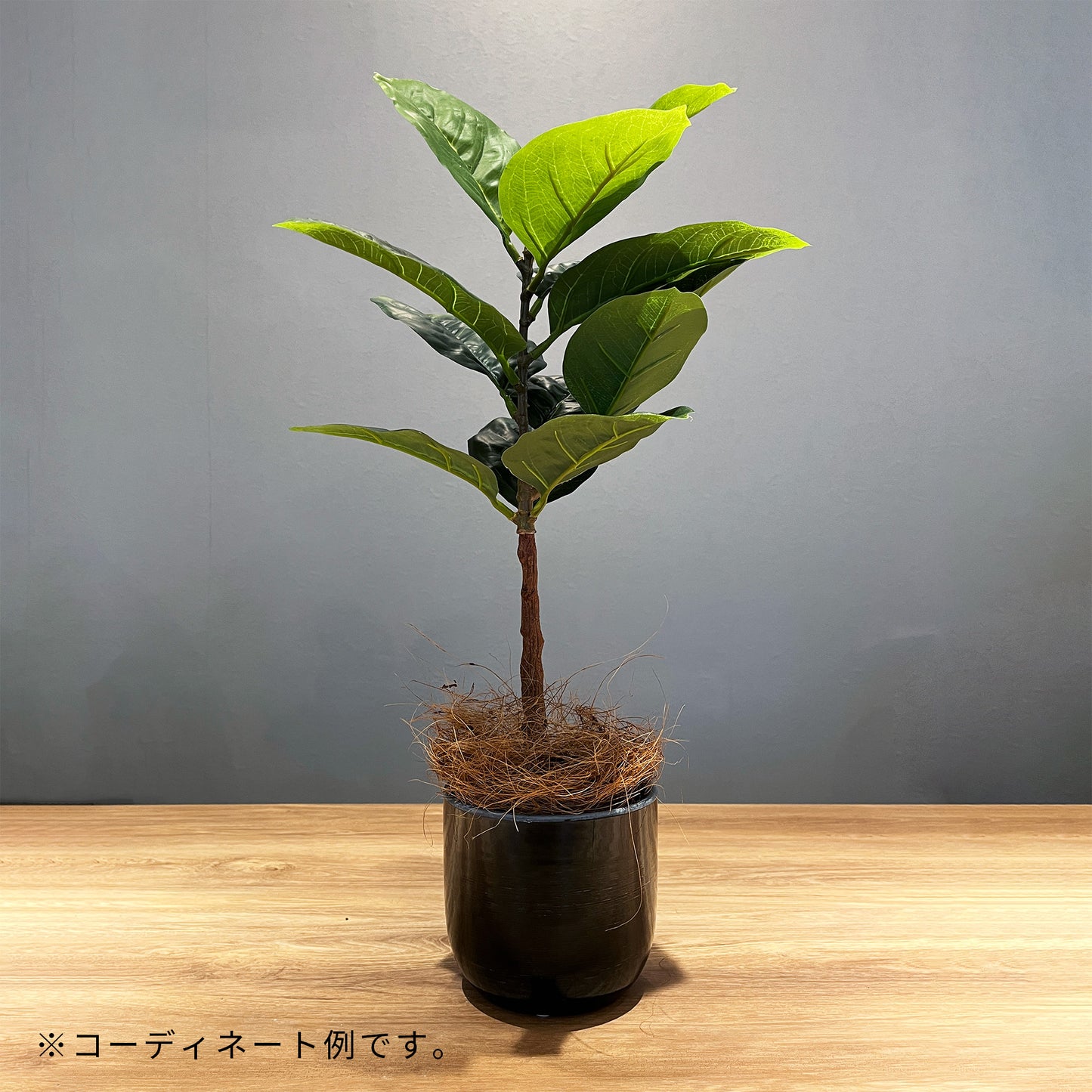 ブラックセラミックポット_コーディネート例