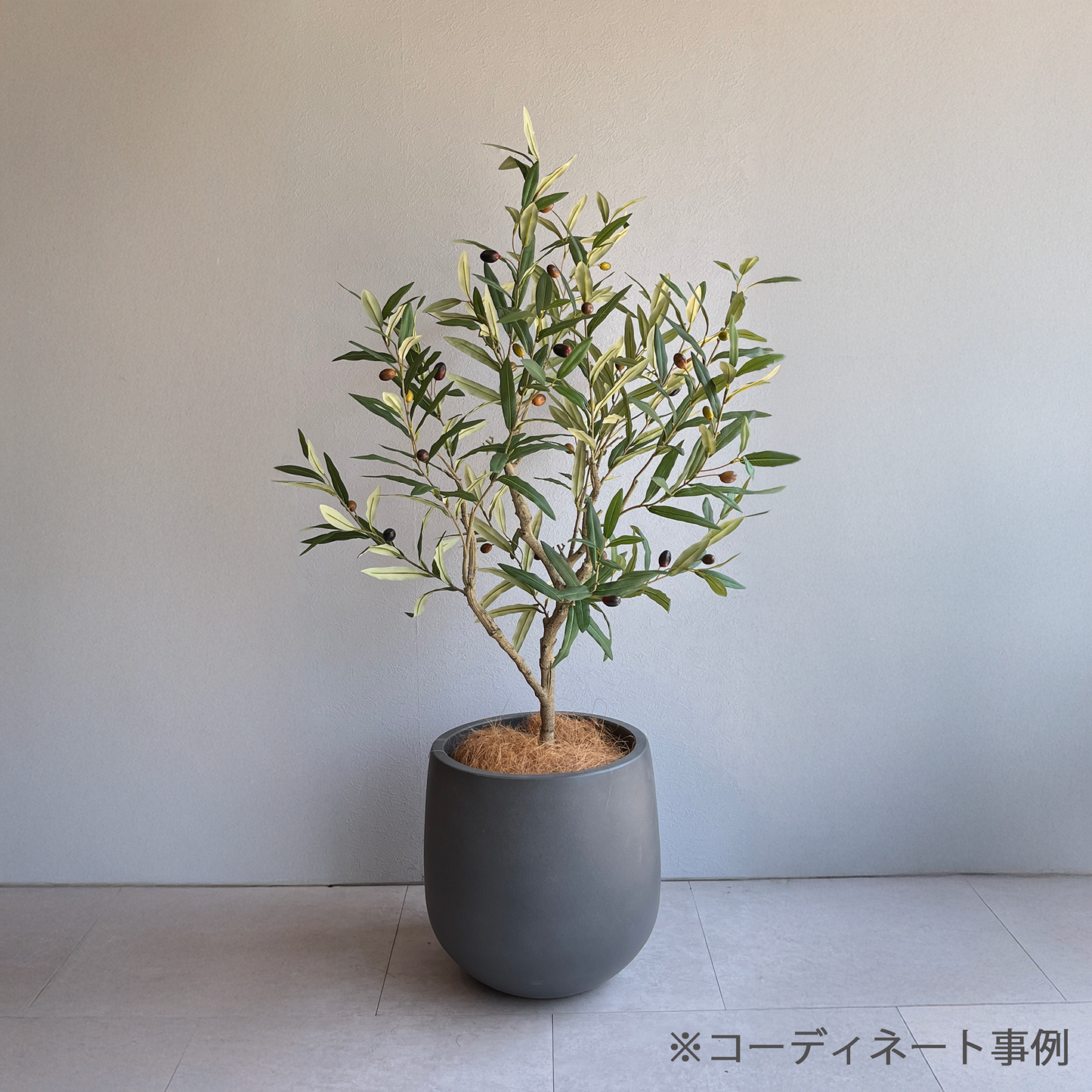 オリーブモデレートポット 110cm8