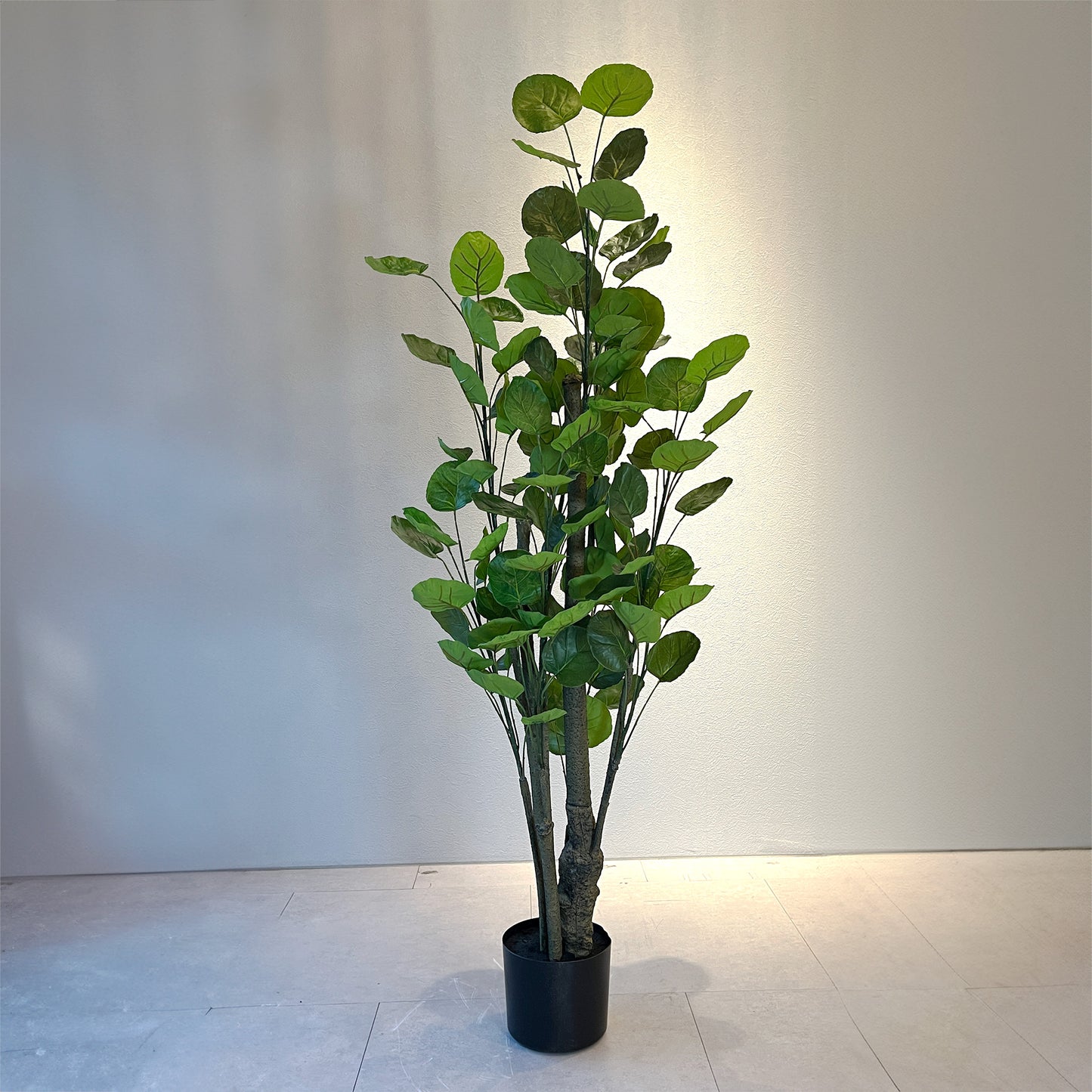 ポリシャスフリスビー130cm メイン画像