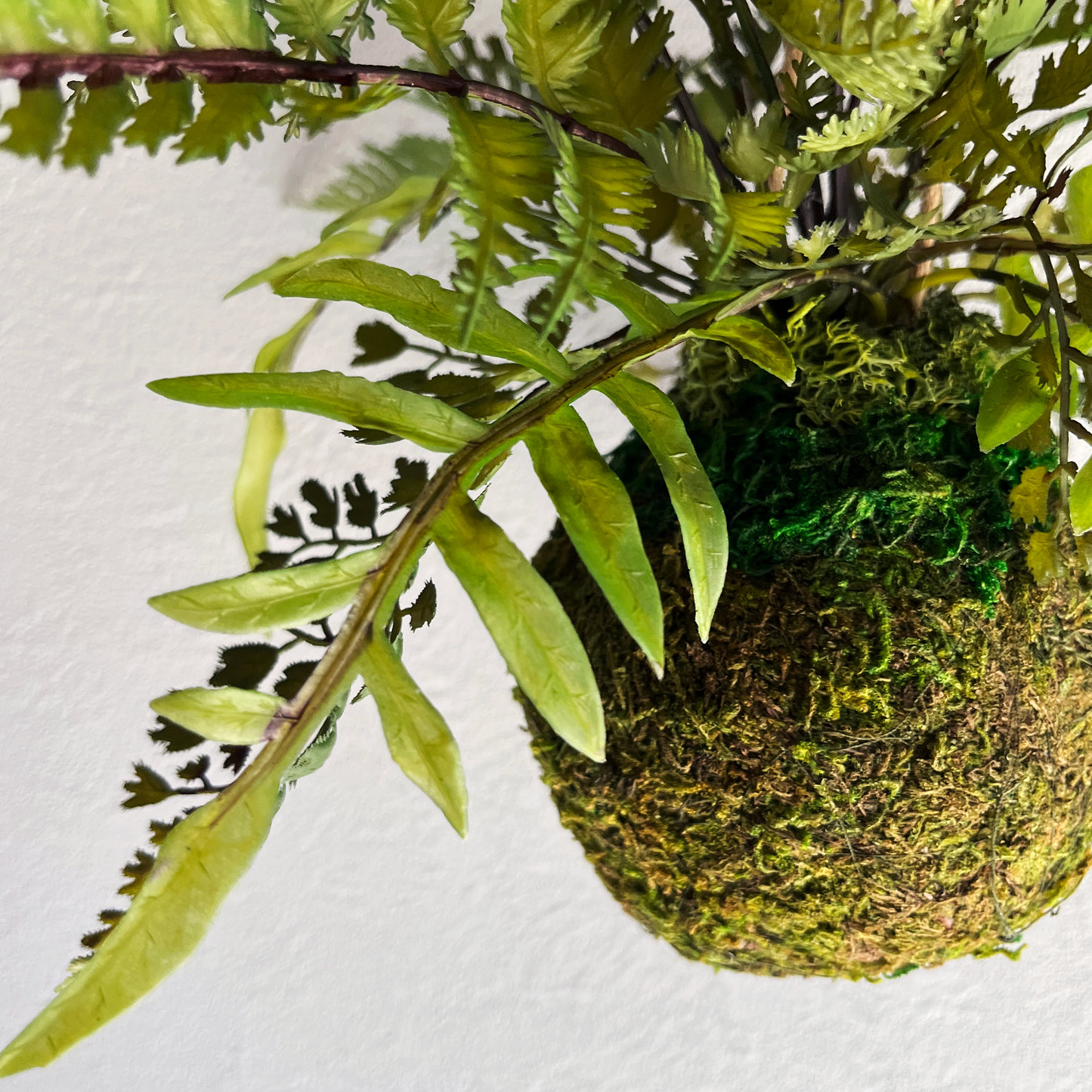 【フェイクグリーン】ミックスドファーン Mossball / Atelier Works Collection