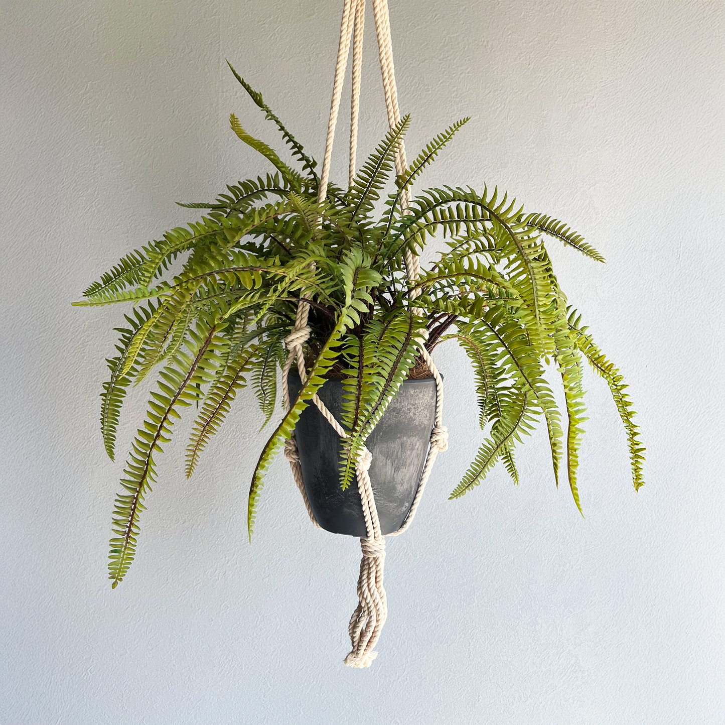 【フェイクグリーン】ソードファーン Hanging Pot / Atelier Works Collection