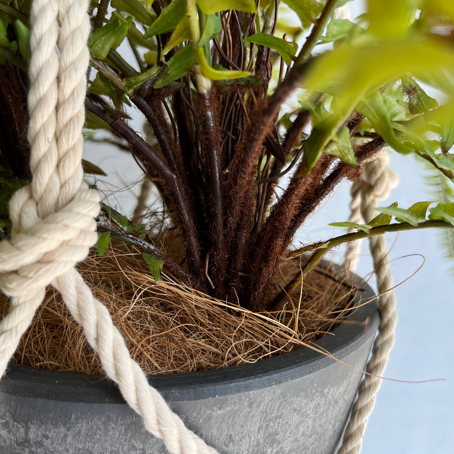 【フェイクグリーン】ソードファーン Hanging Pot / Atelier Works Collection
