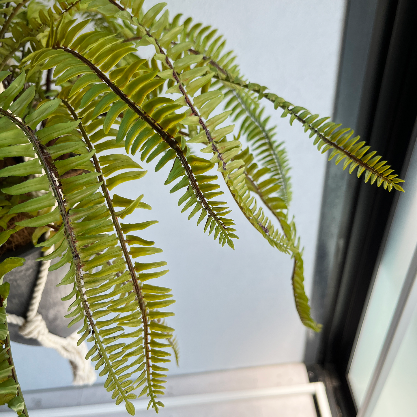 【フェイクグリーン】ソードファーン Hanging Pot / Atelier Works Collection