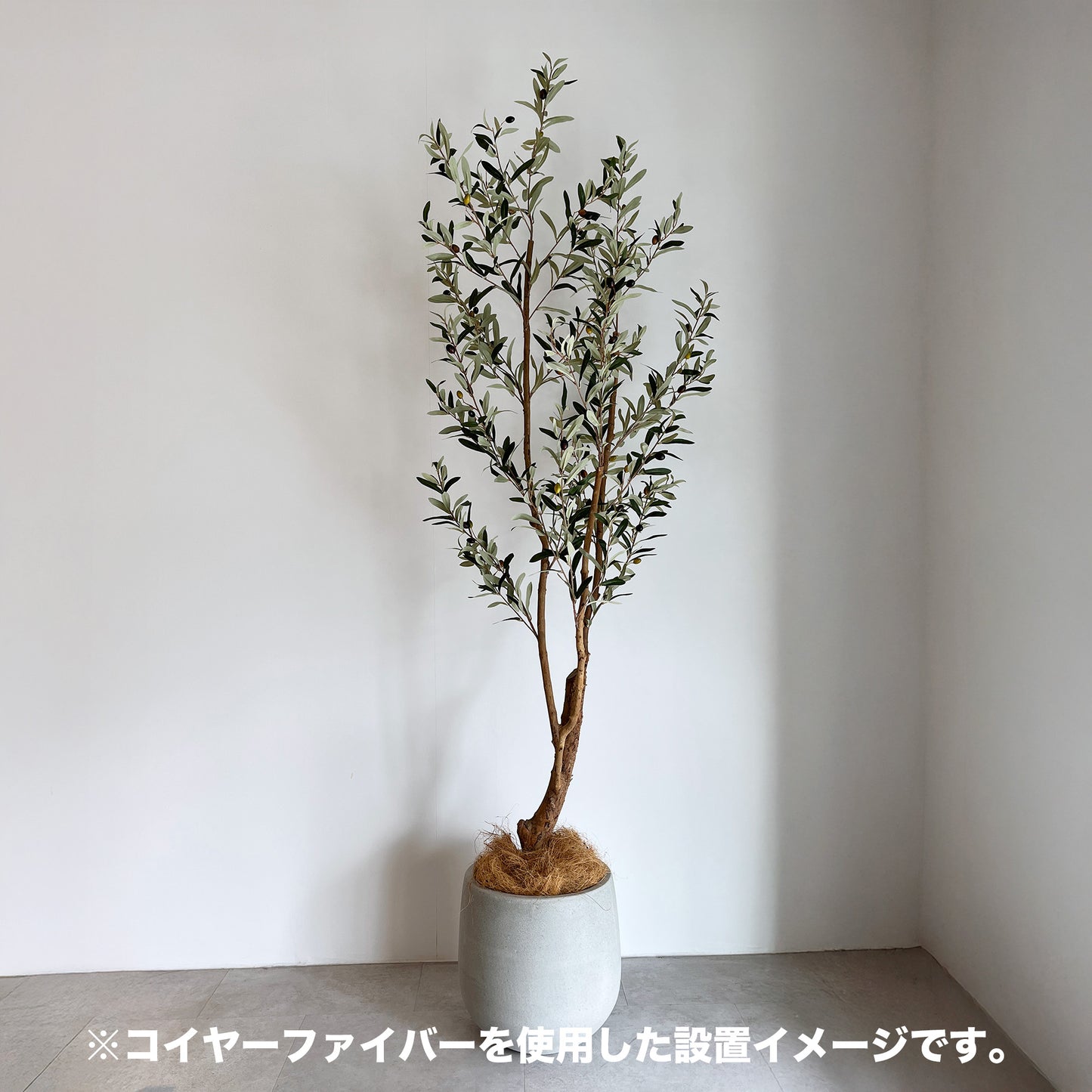 コイヤーファイバー100gデザイン
