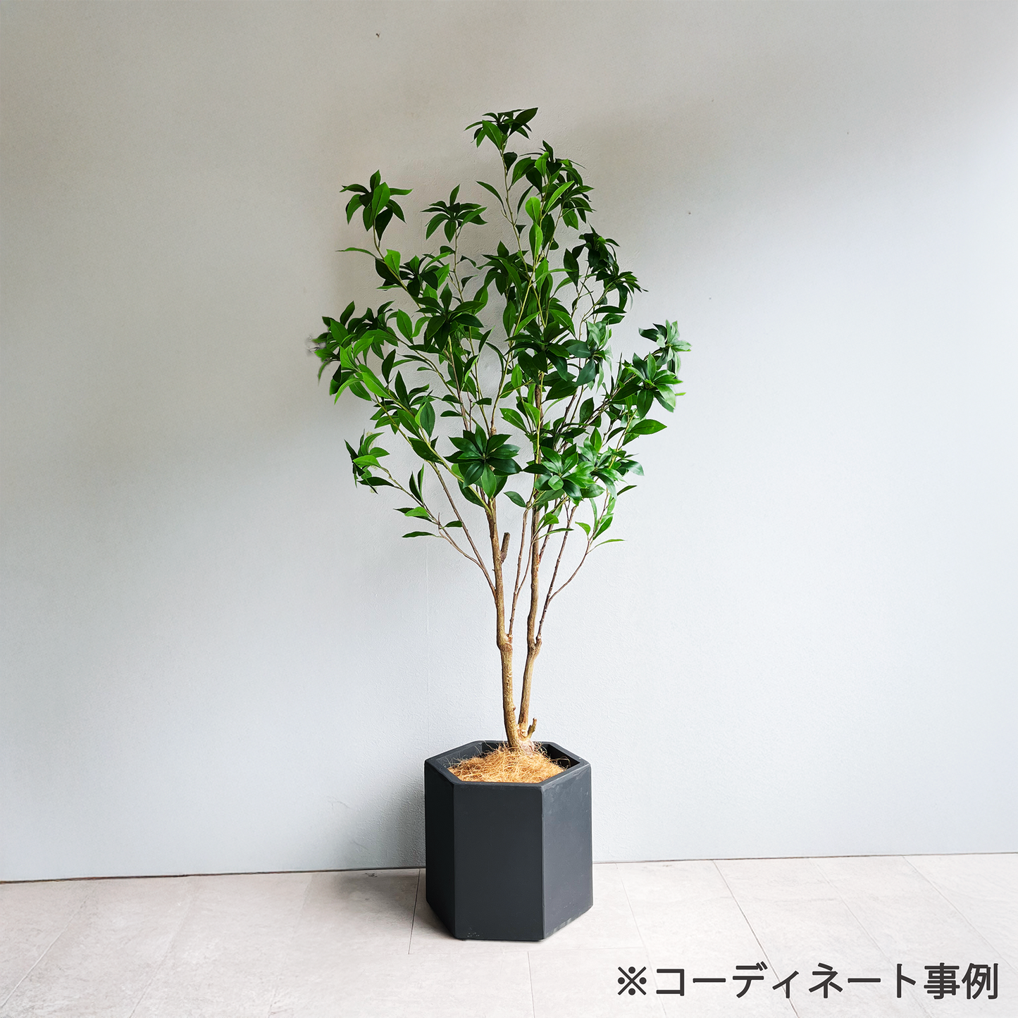 【大型フェイクグリーン】アセビ 150cm