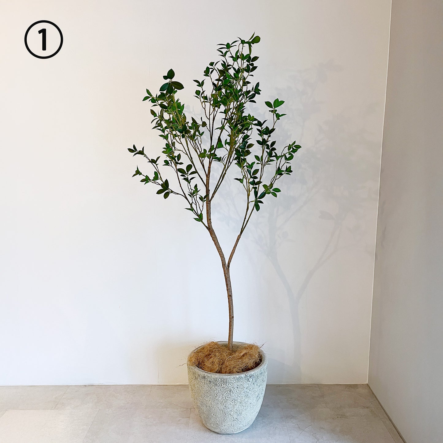 【大型フェイクグリーン】ミクロフィカス 150cm