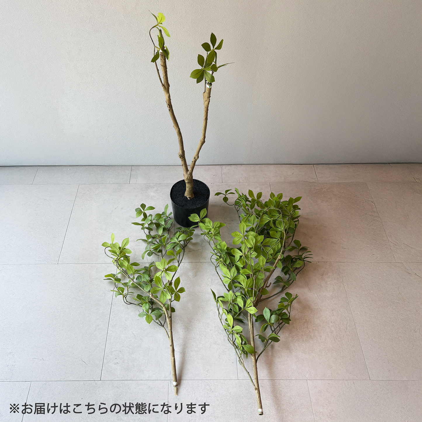 【大型フェイクグリーン】 マダガスカルアーモンドツリー 160cm