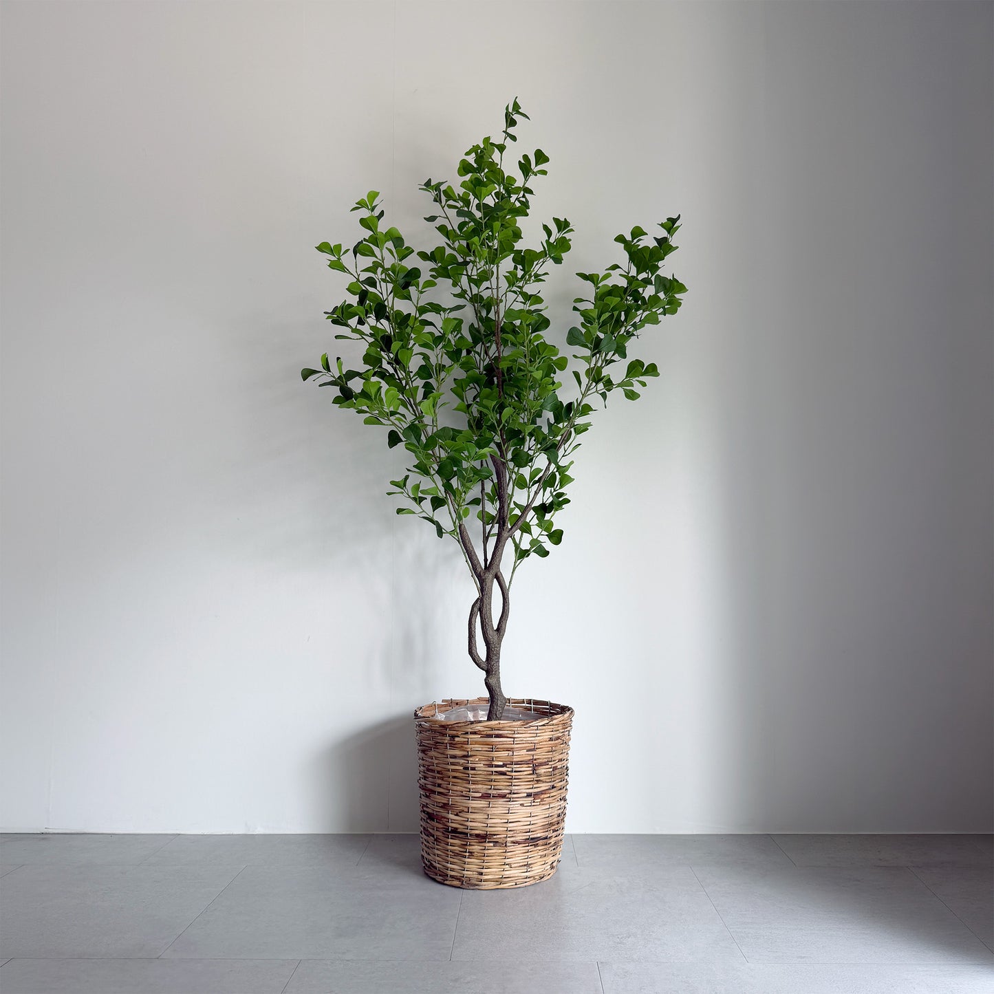 【フェイクグリーン】フィカスハートブランチ 150cm 6