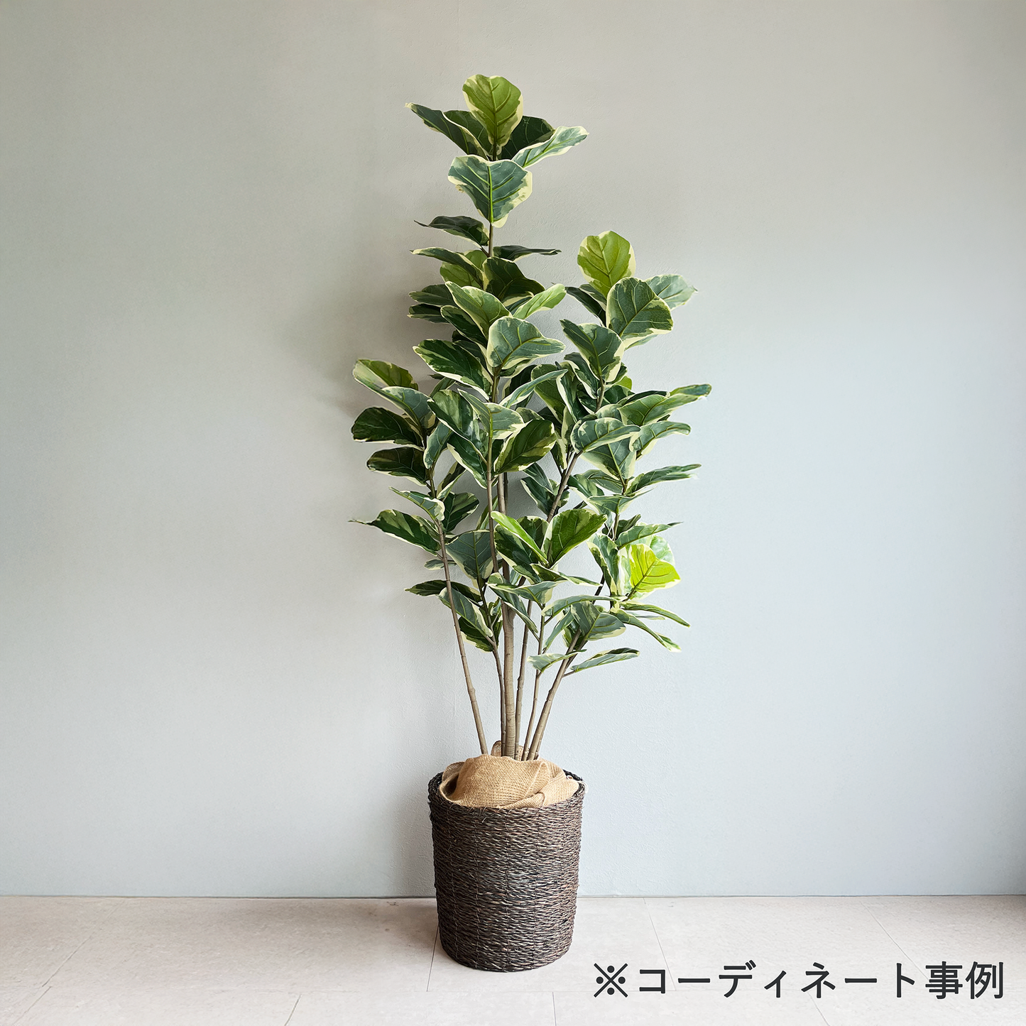 【大型鉢】バンブーバスケット 高さ32cm