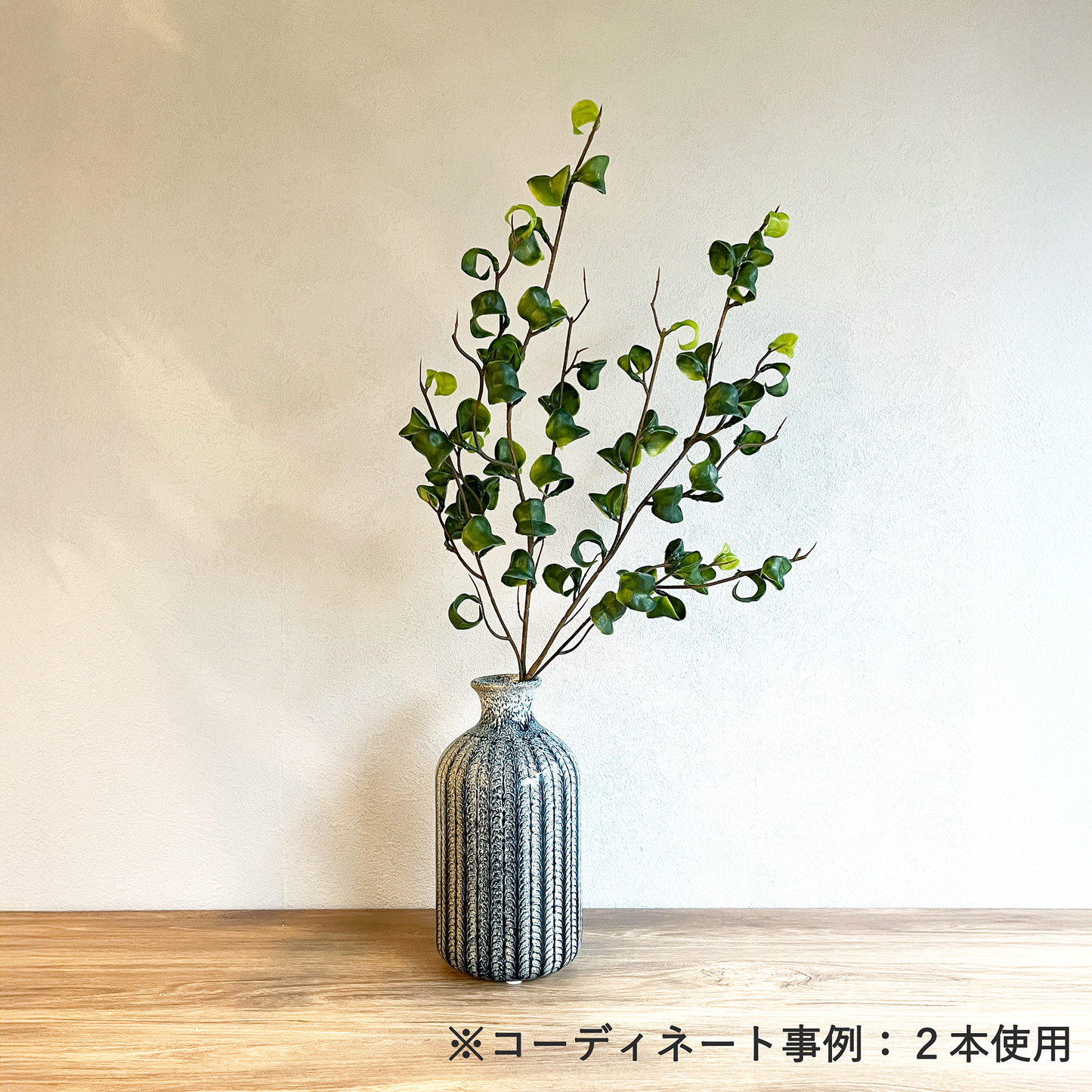 【枝物】ベンジャミンバロック ブランチ
