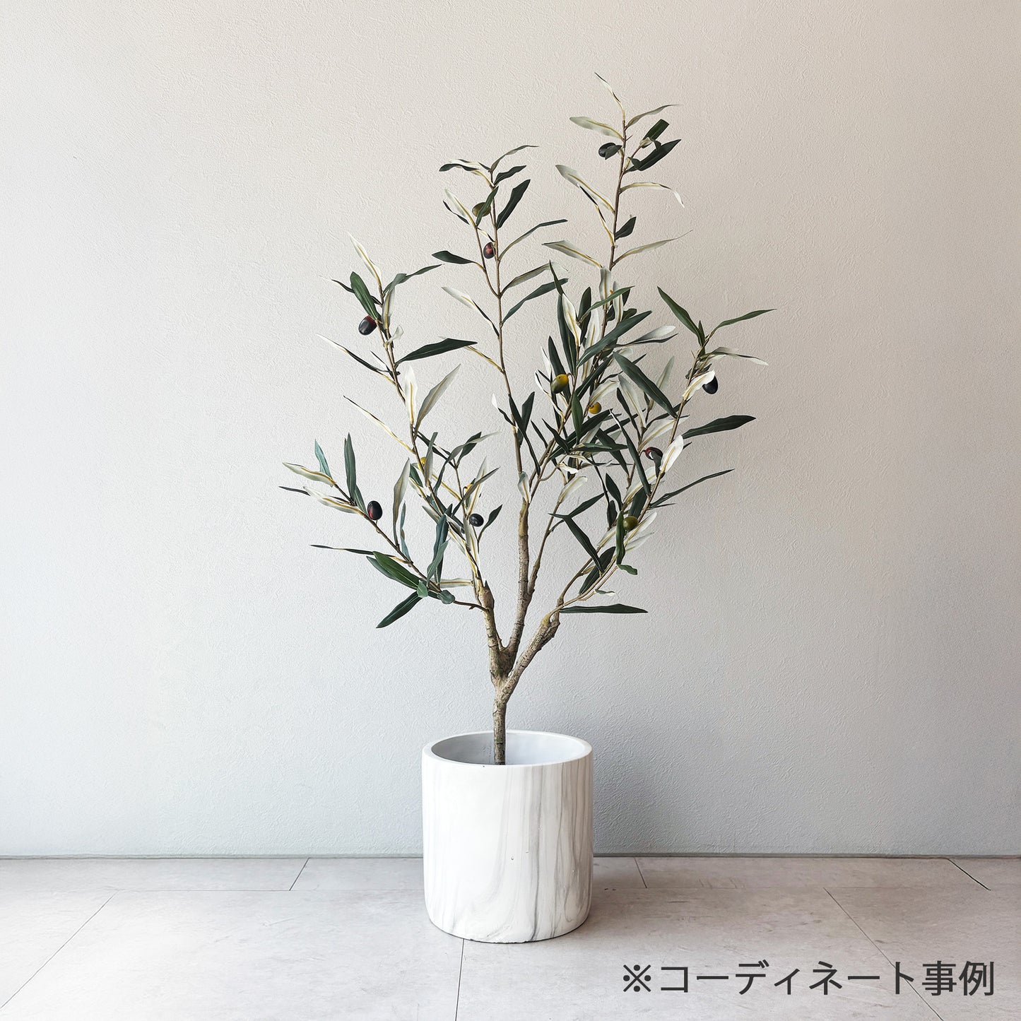 olivetree-90cm8