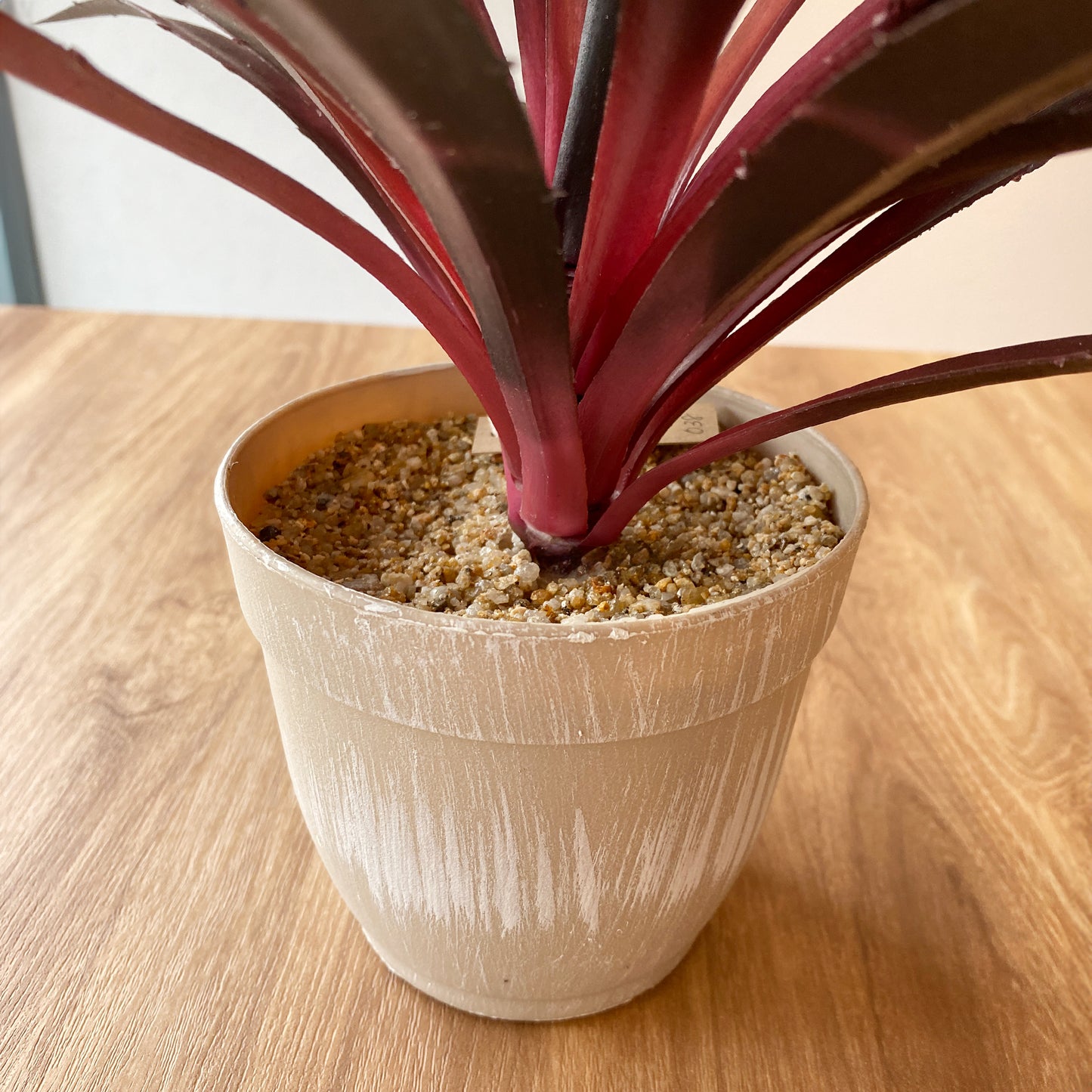 アガペポット バーガンディーの根本部分。鉢との接合部も丁寧に仕上げられています。