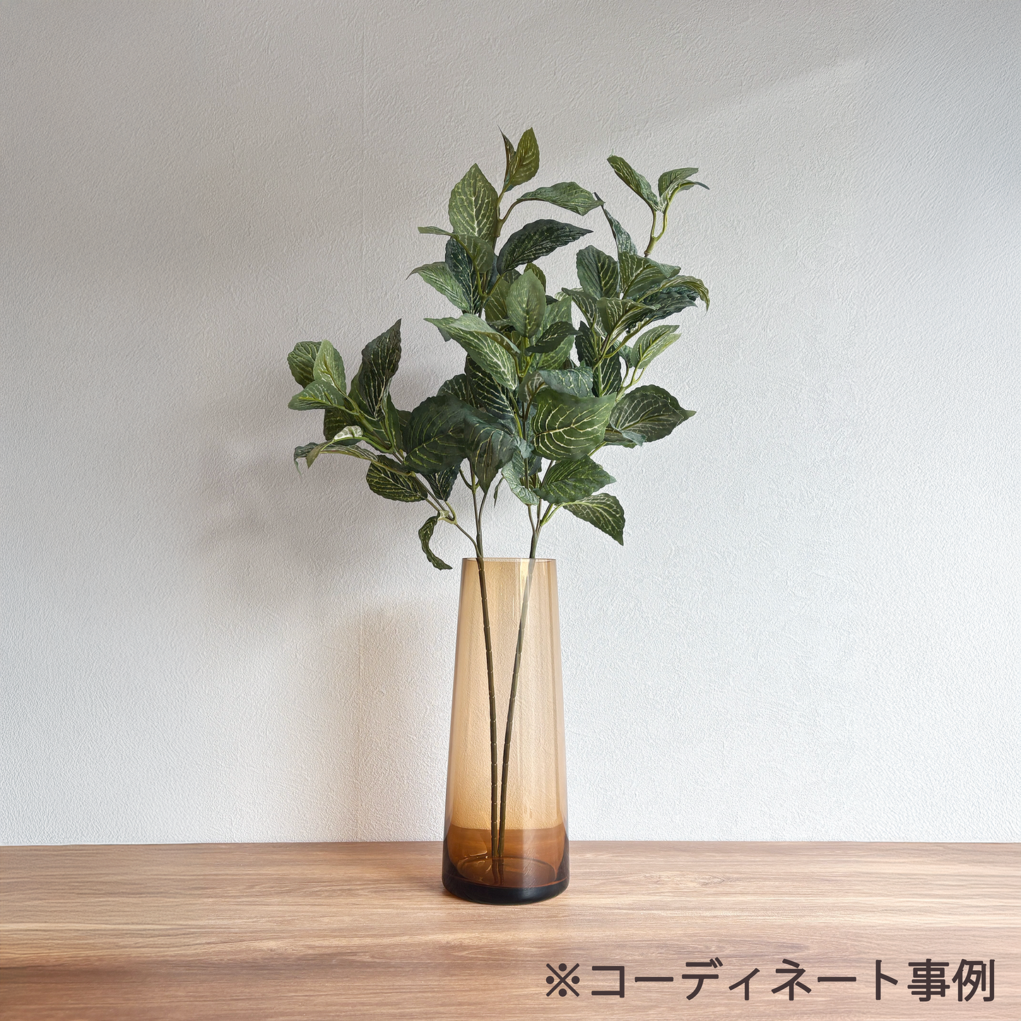 アミメグサ・ヴェールブランチ6