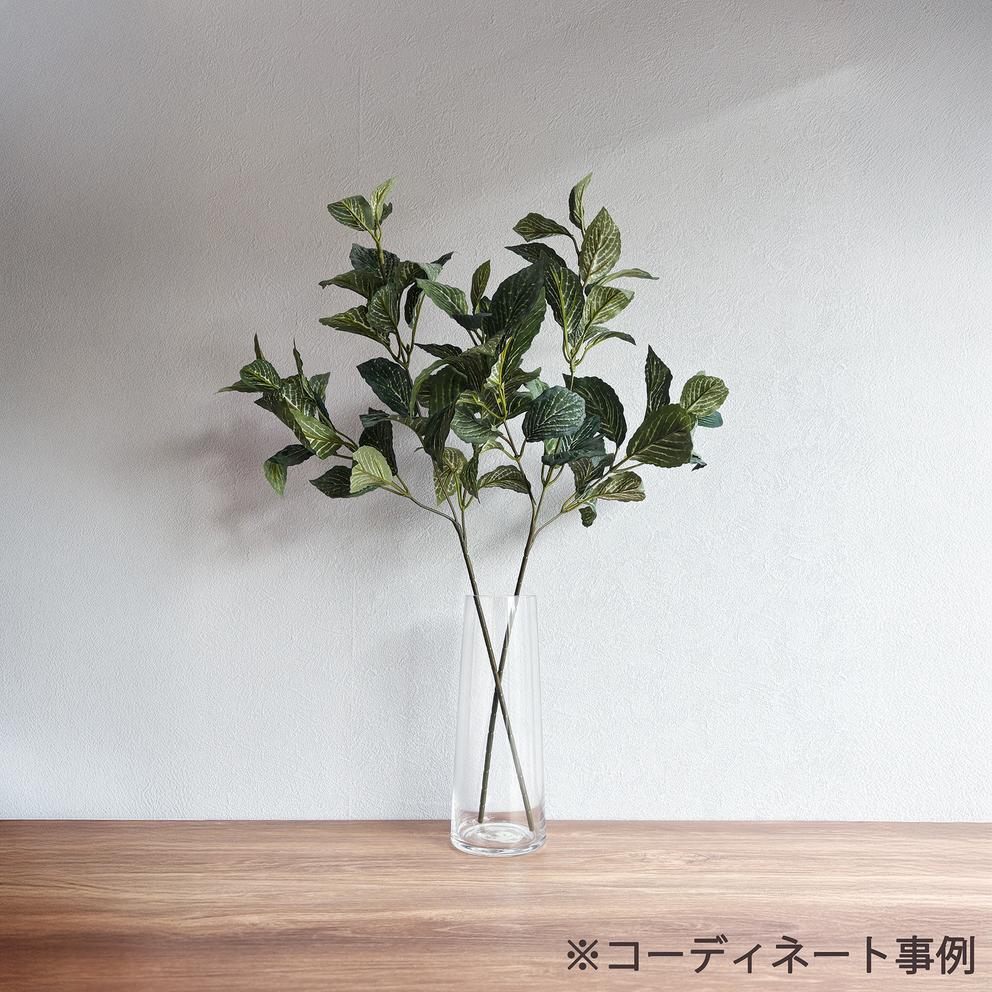 アミメグサ・ヴェールブランチ7
