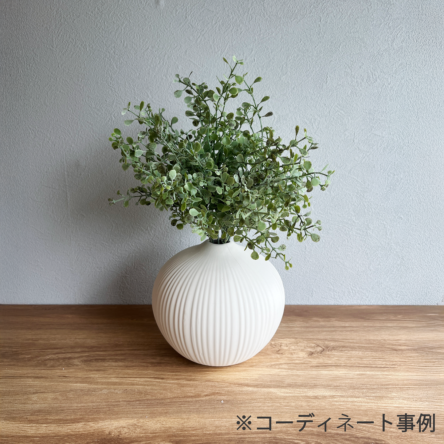 ブルボ6
