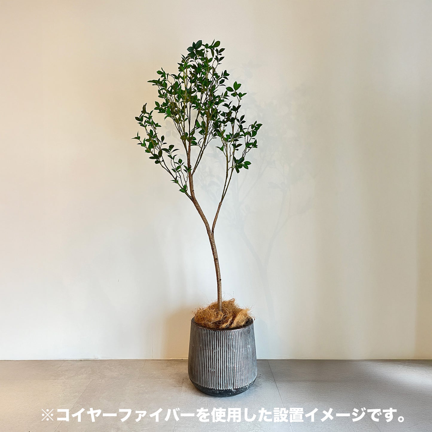 コイヤーファイバー100gデザイン2