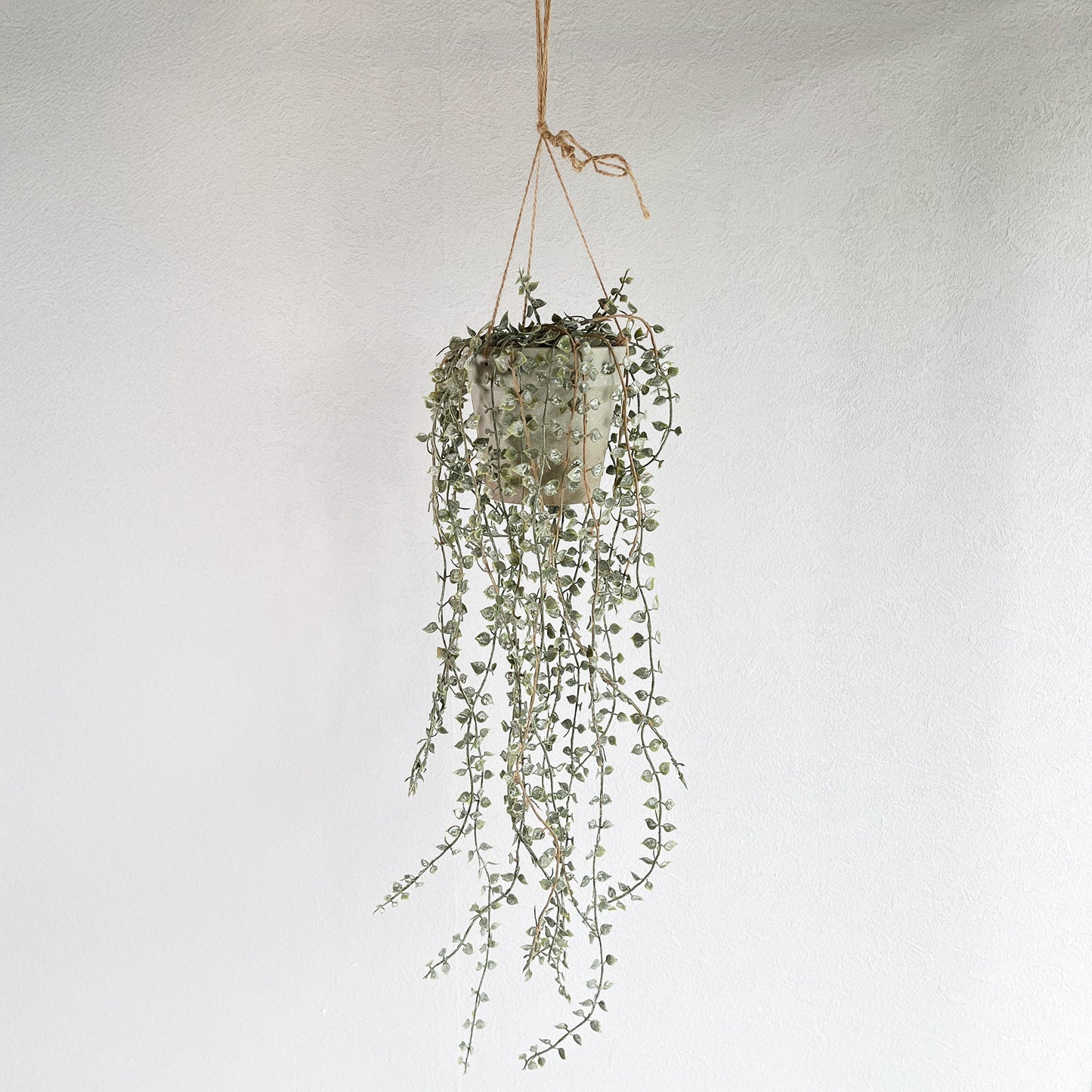 ディスキディアジュートハンギングメイン