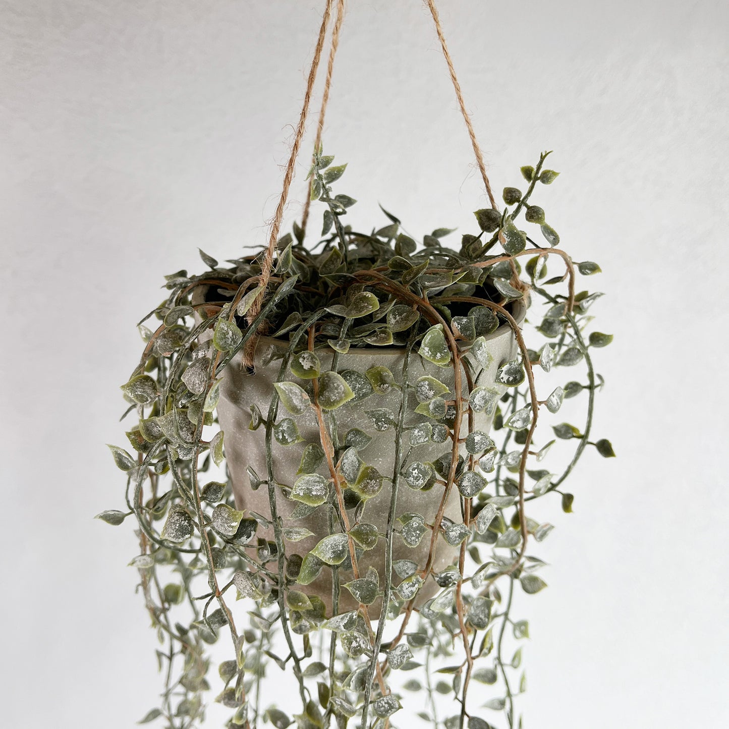 ディスキディアジュートハンギングアップ