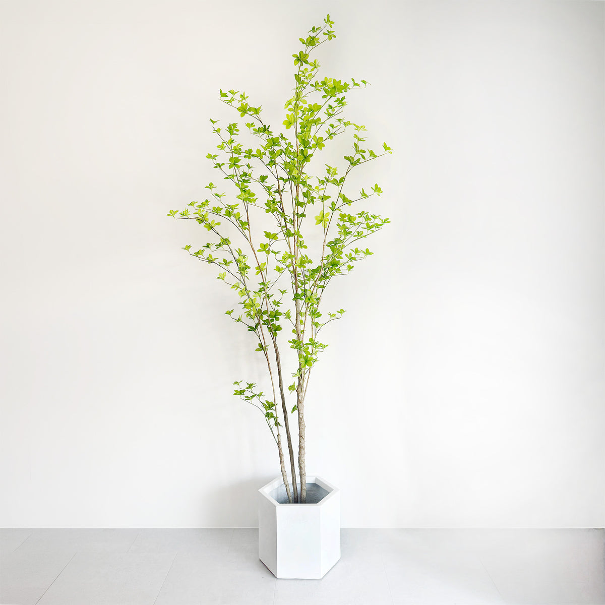 【大型フェイクグリーン】ドウダンツツジ 210cm 8