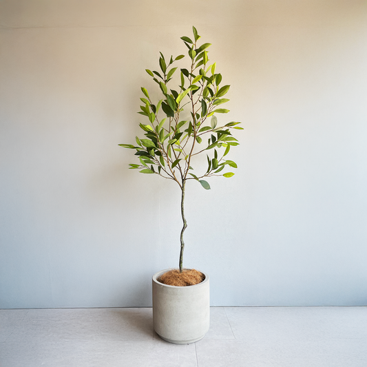 リネアエアリーツリー 150cm1