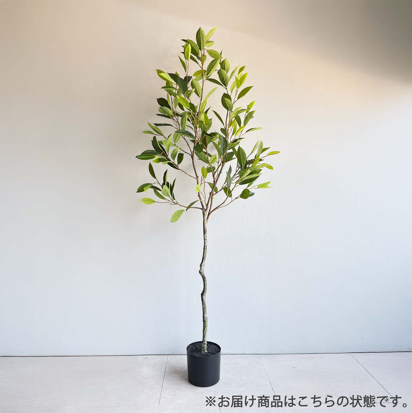リネアエアリーツリー 150cm2