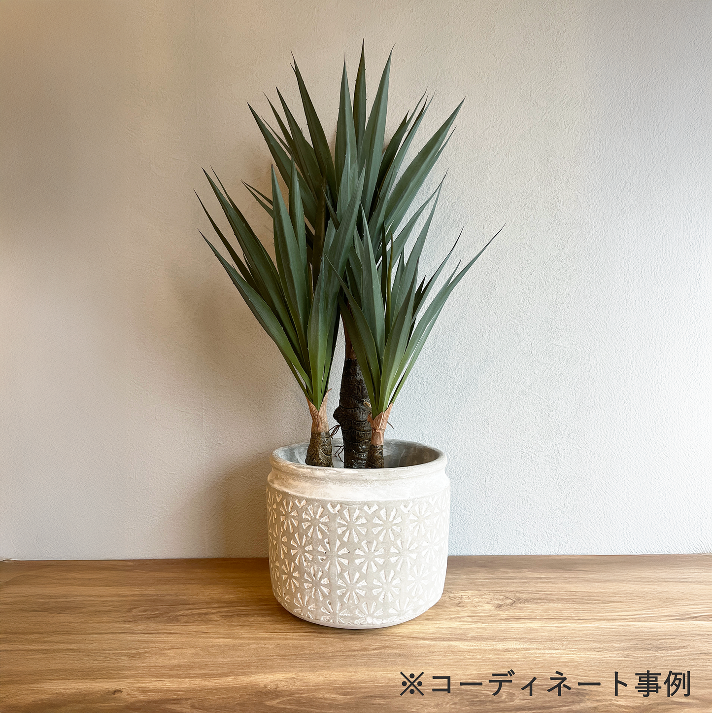 ユッカポット ラッシュ9