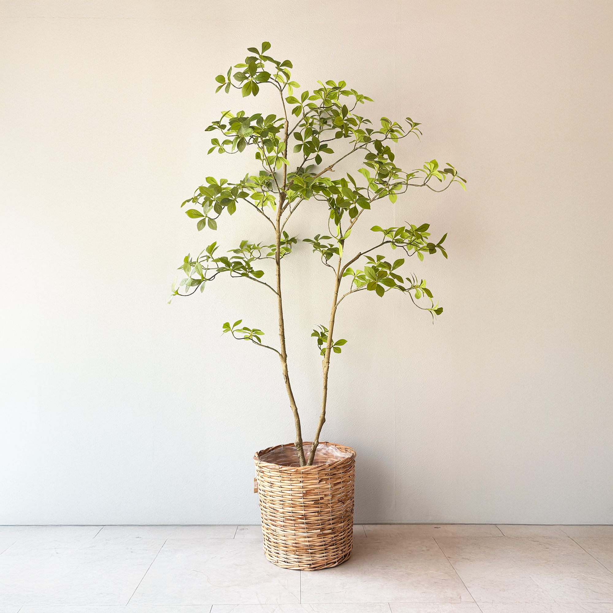 マダガスカルアーモンドツリー 160cm- フェイクグリーン専用通販サイト