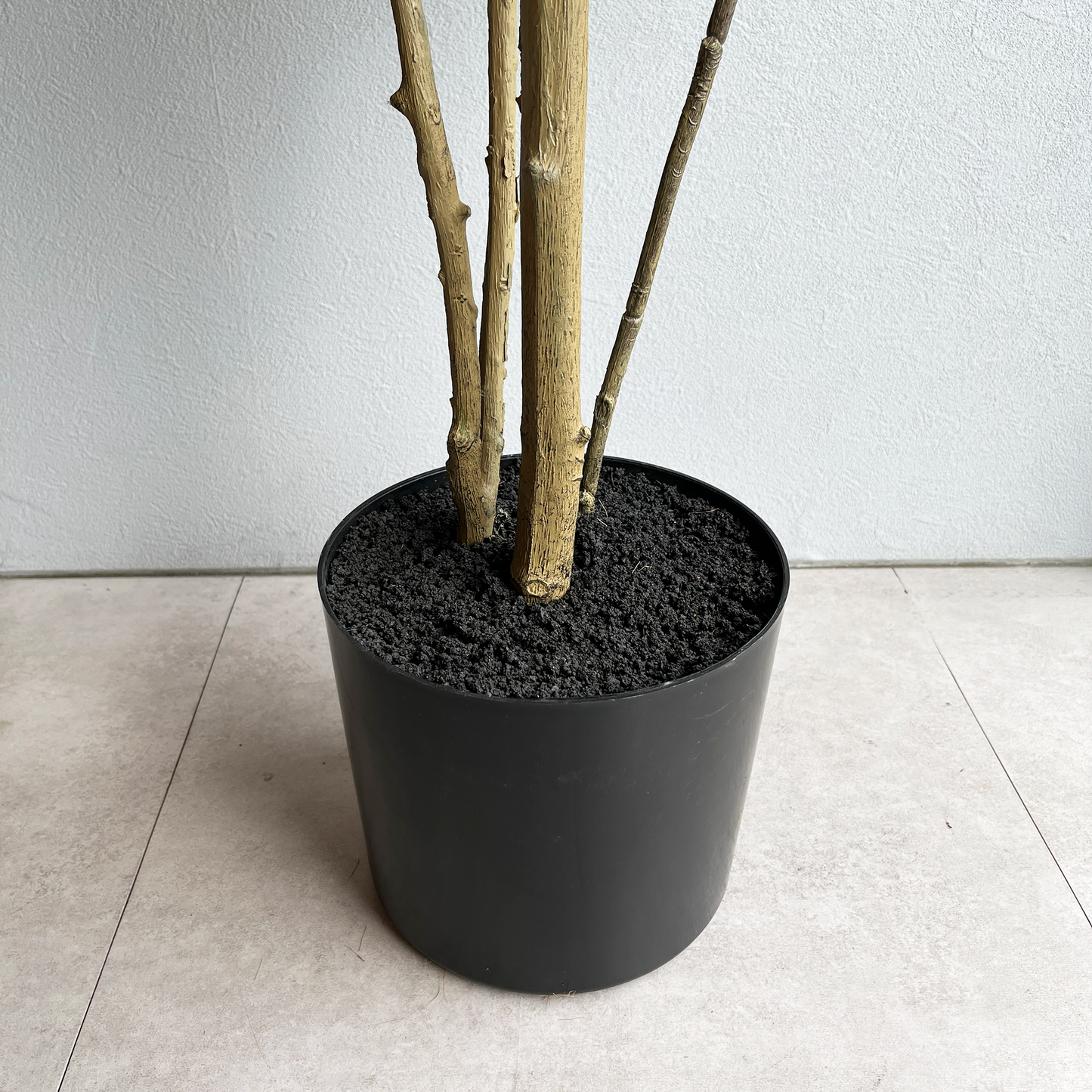 マホニアツリー 180cm8