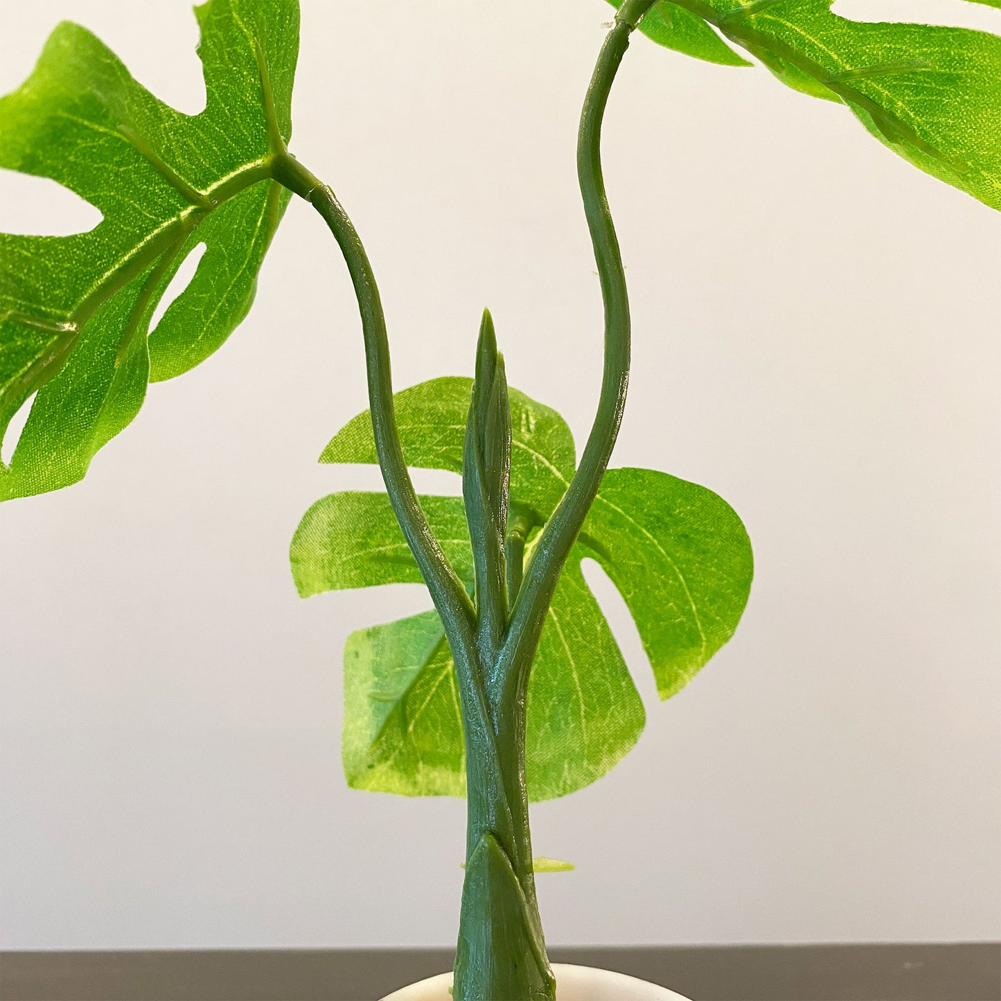 ミニモンステラ künstlicheの枝部分。小さな芽があり、成長の過程を思わせるナチュラルな仕上がり。