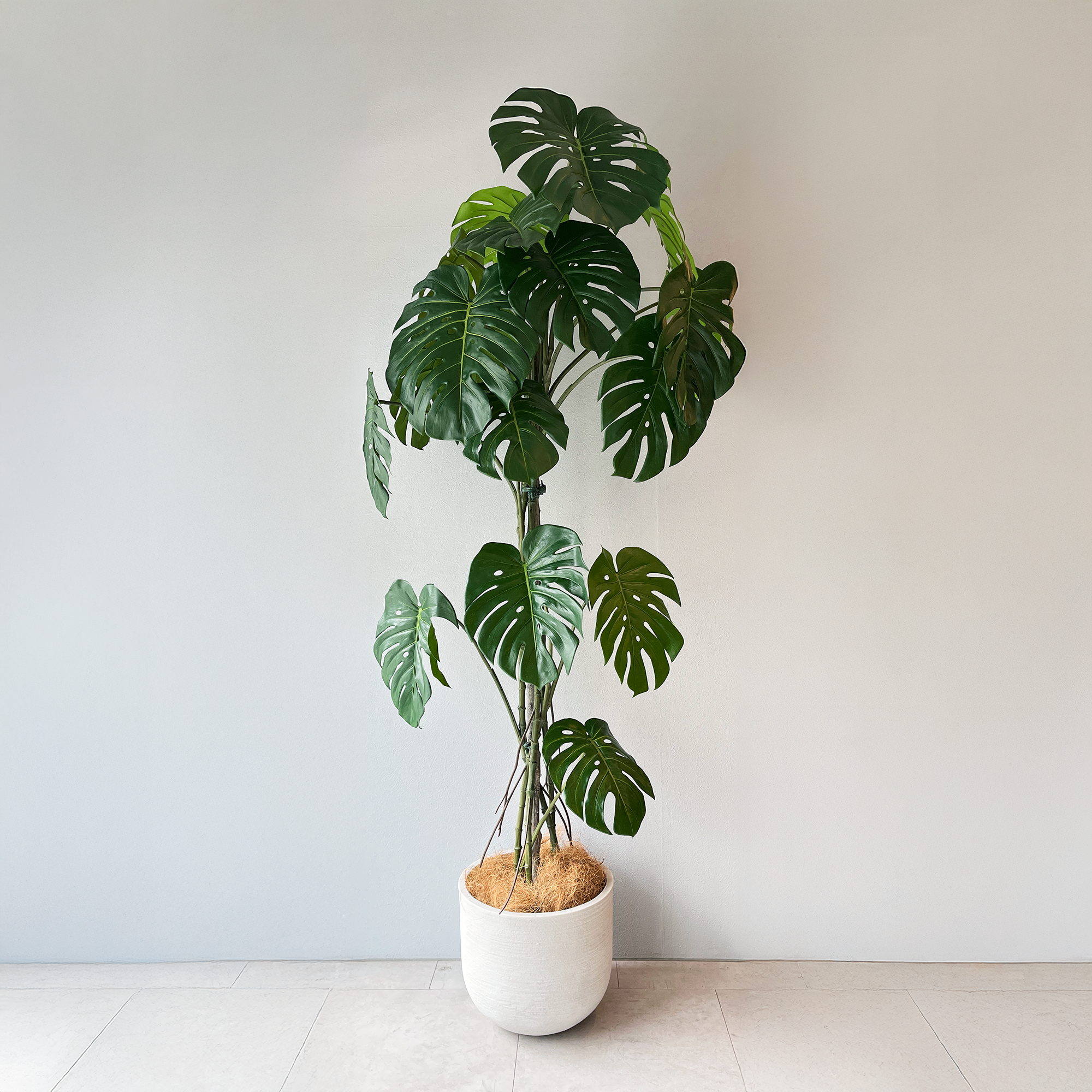 モンステラ グランデ 180cm- フェイクグリーン専用通販サイト