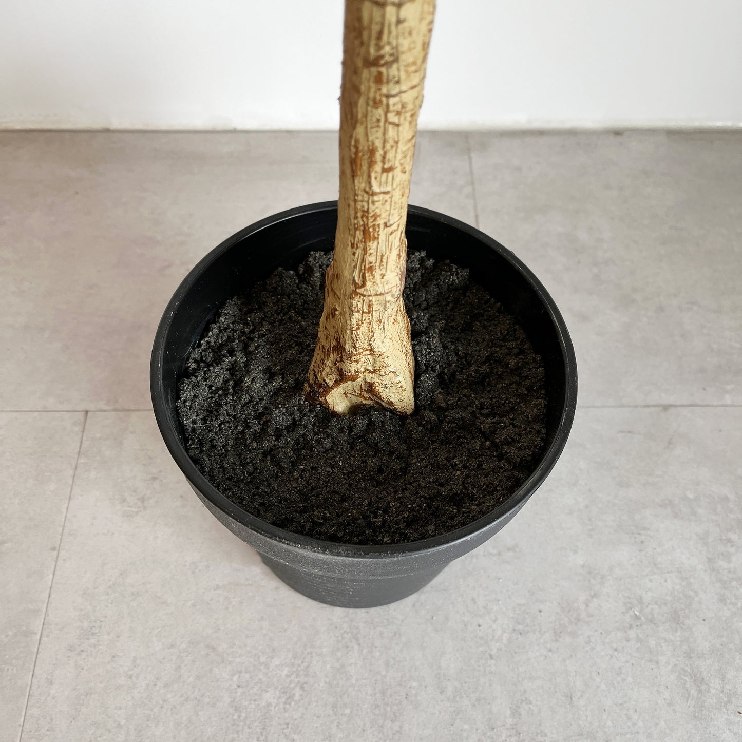 ポリシャススターシャ ポット