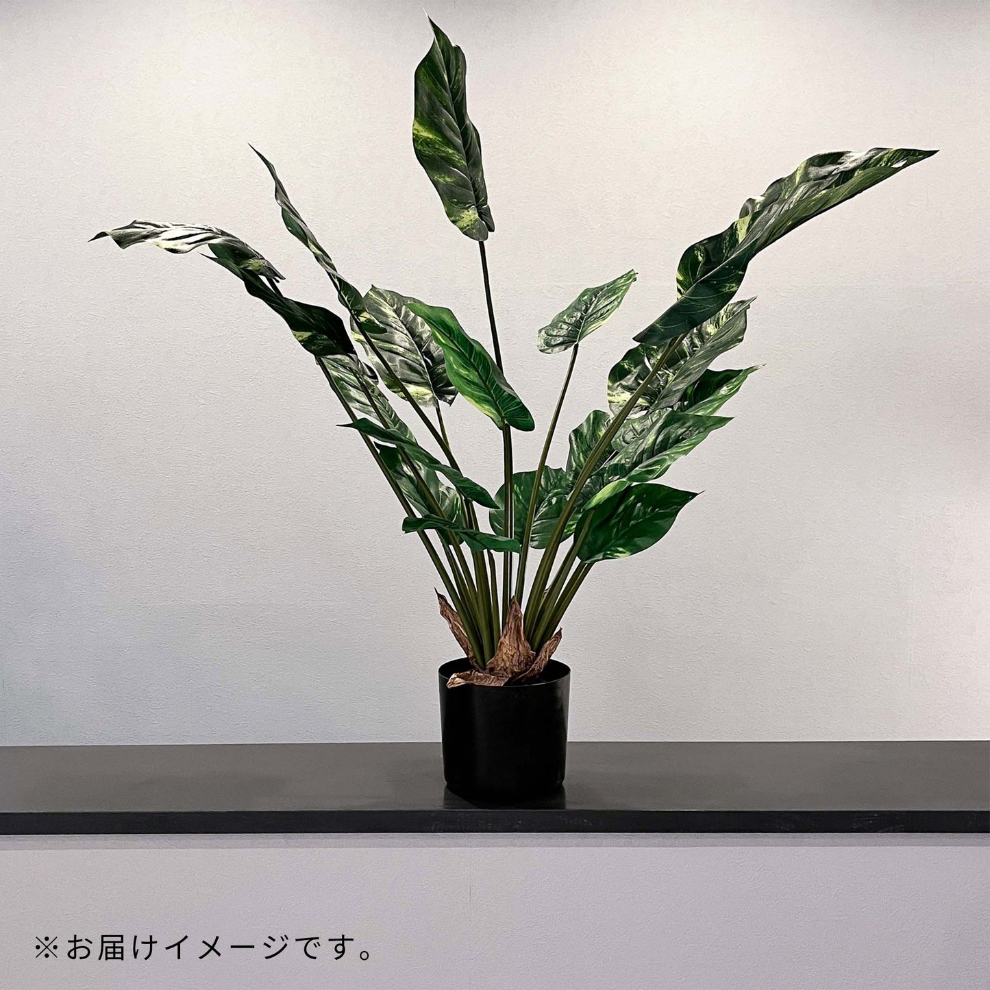 ポトス 75cm 鉢カバーなし