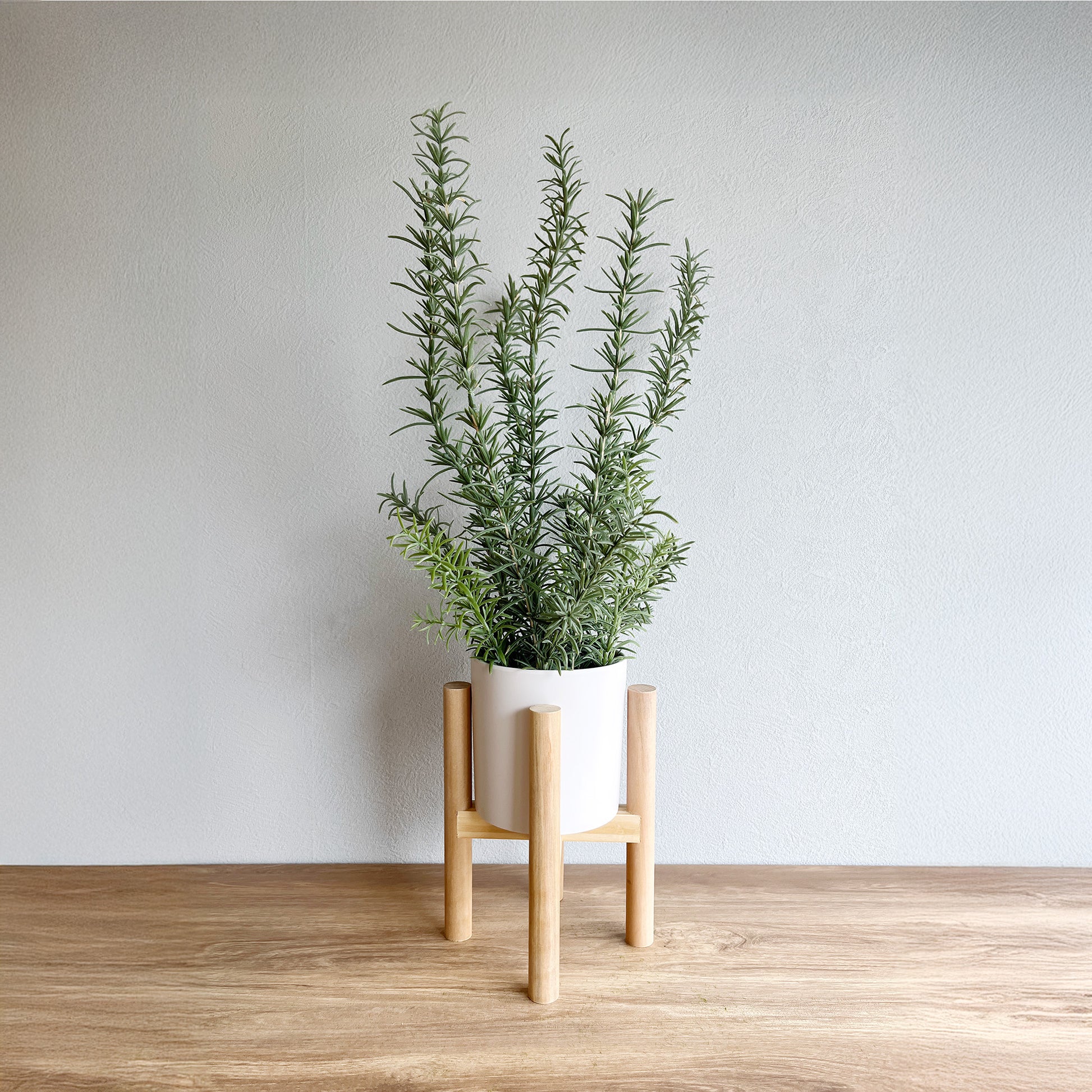 ローズマリーナチュラルウッドスタンド正面