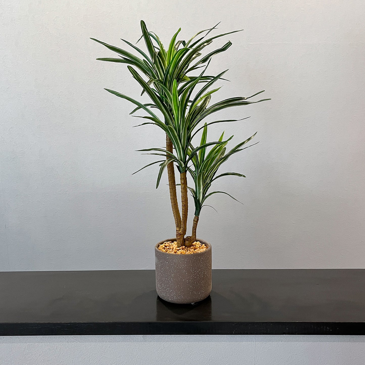 ユッカ CEMENT POT メイン画像