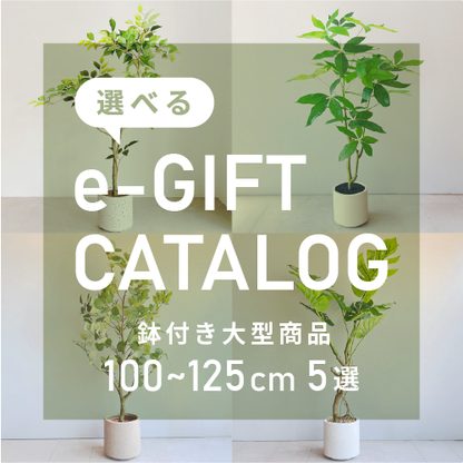 【ギフト】選べる！鉢付フェイクグリーン eギフトカタログ