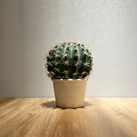 【フェイクグリーン】ボールサボテン