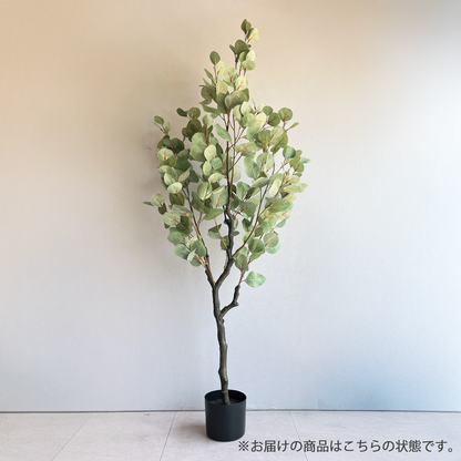 【大型フェイクグリーン】 ユーカリツリー リアルウッド 130cm