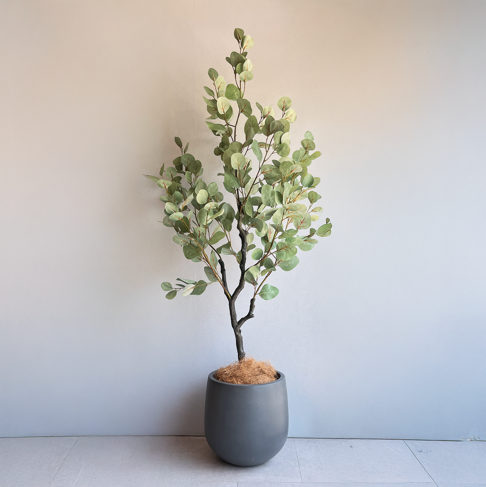 IMG_0686.png?v=1754369445&