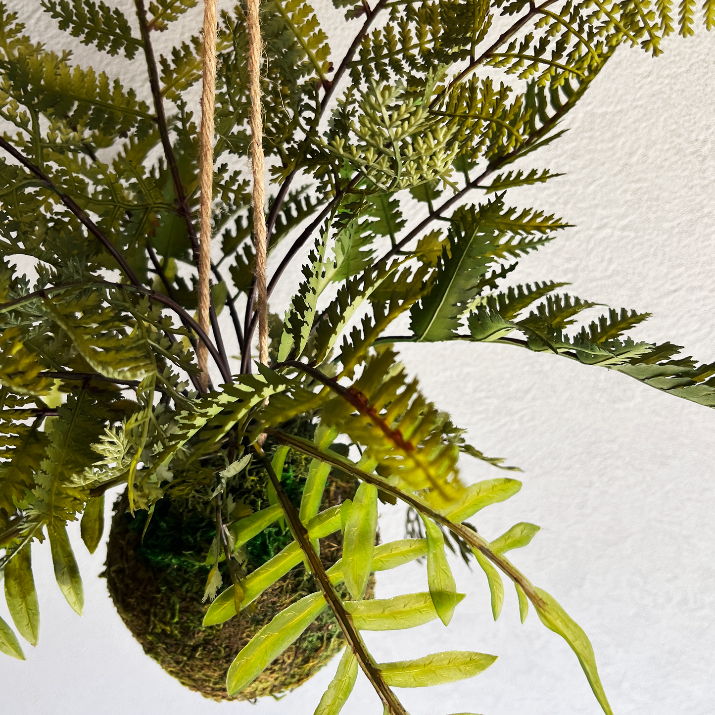 【フェイクグリーン】ミックスドファーン Mossball / Atelier Works Collection