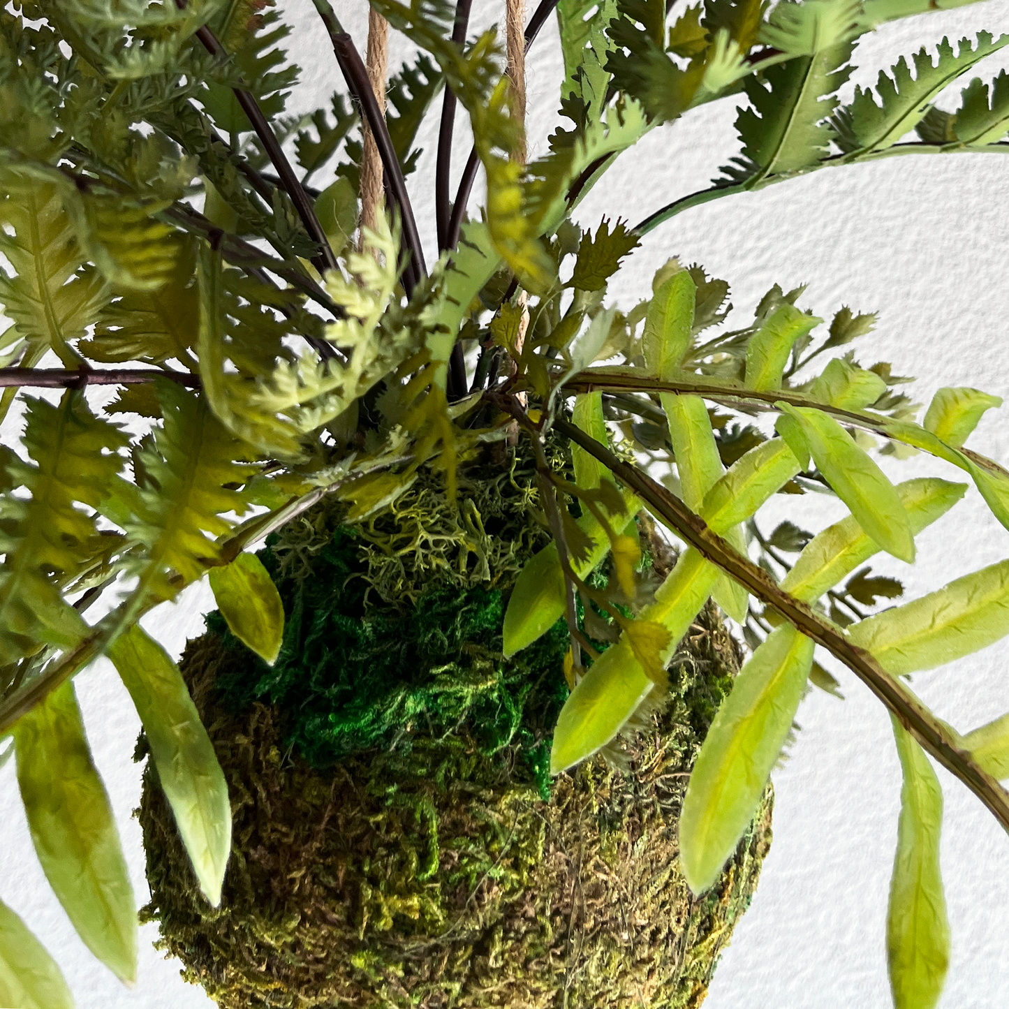 【フェイクグリーン】ミックスドファーン Mossball / Atelier Works Collection