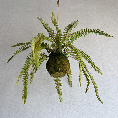 ソードファーン Mossball / Atelier Works Collection２