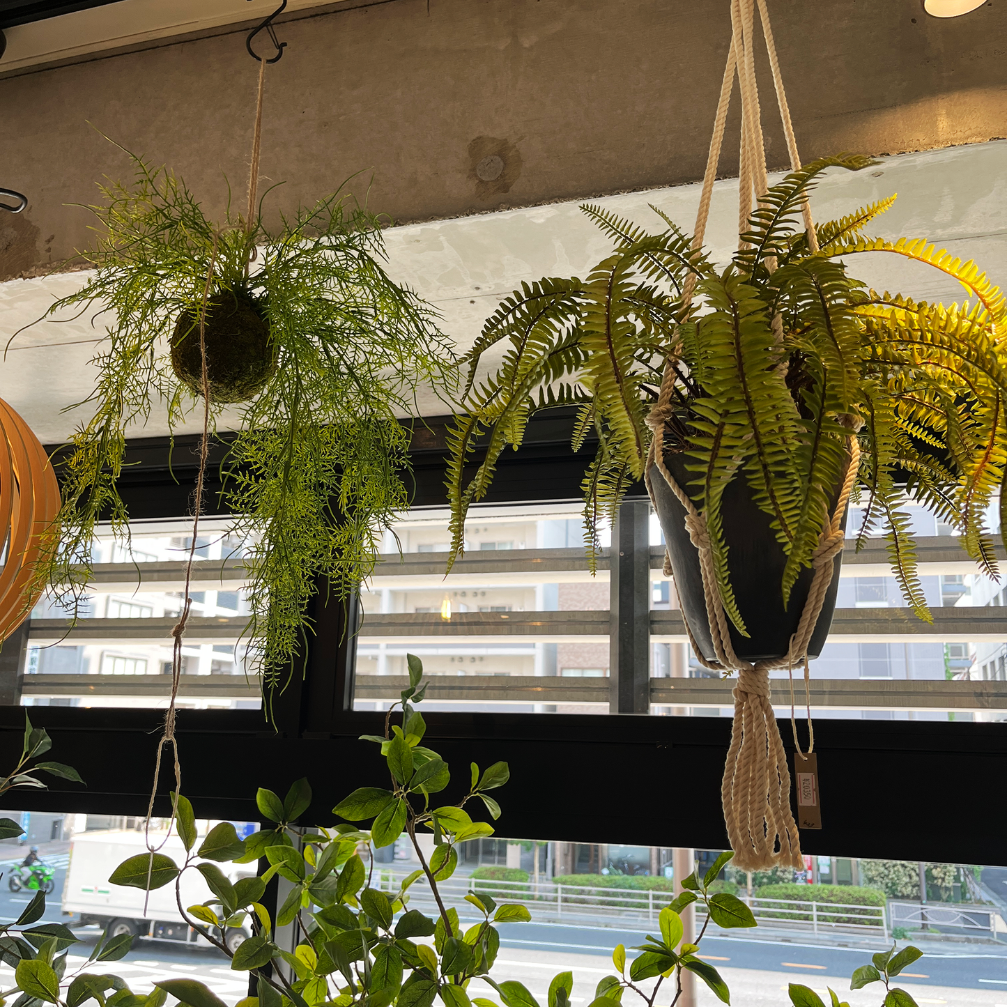 【フェイクグリーン】ソードファーン Hanging Pot / Atelier Works Collection