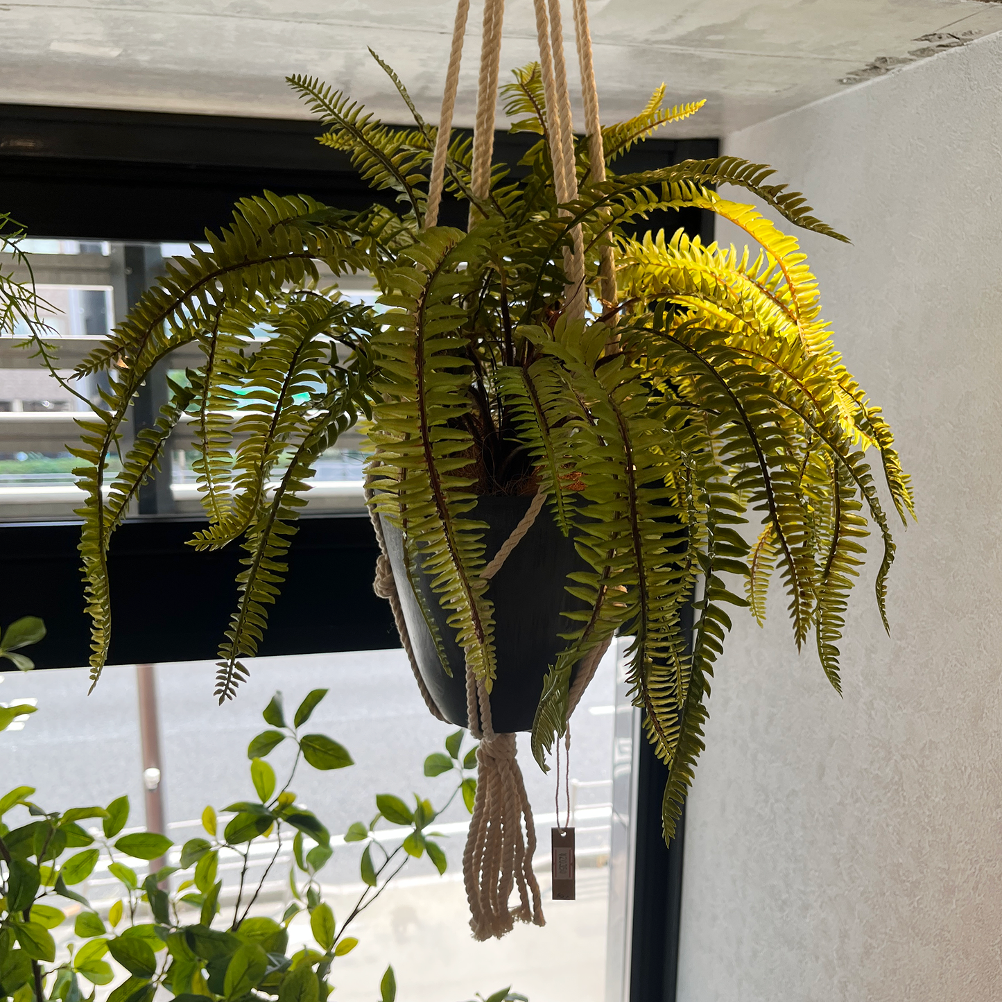 【フェイクグリーン】ソードファーン Hanging Pot / Atelier Works Collection