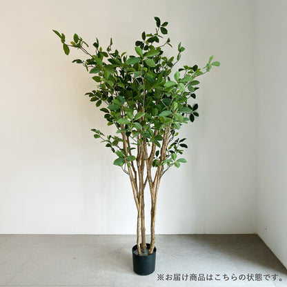 【大型フェイクグリーン】ガジュマルの木 160cm