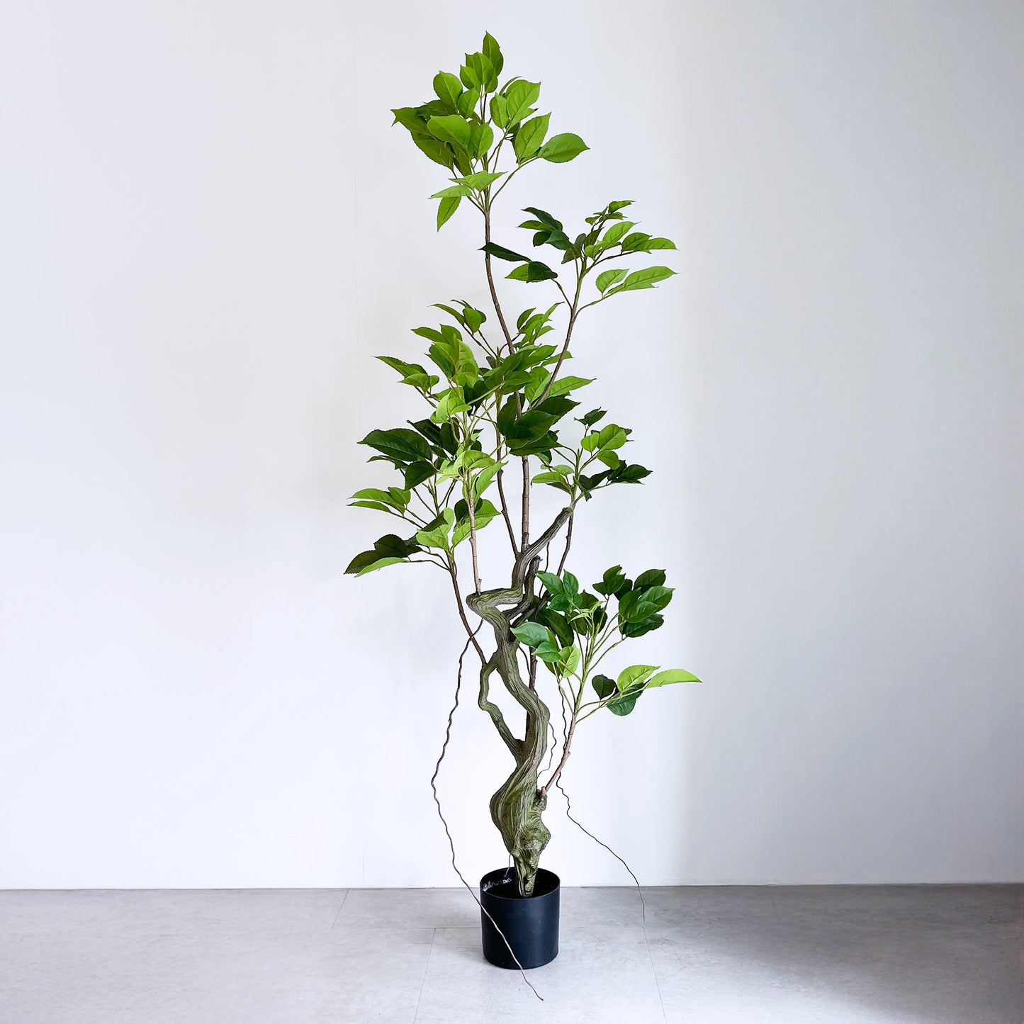 【大型フェイクグリーン】ヴェルディウス - Verdius 175cm