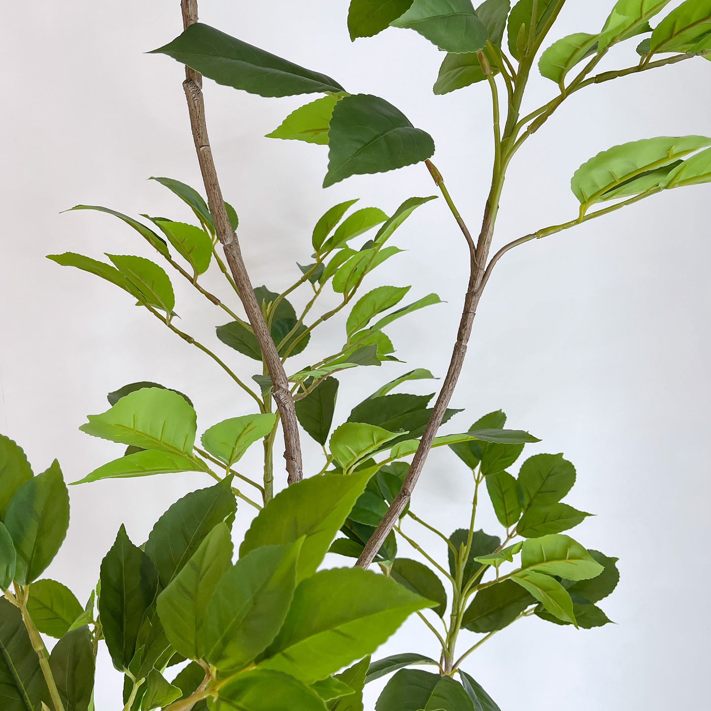 【大型フェイクグリーン】ヴェルディウス - Verdius 175cm