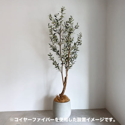 コイヤーファイバー100gデザイン
