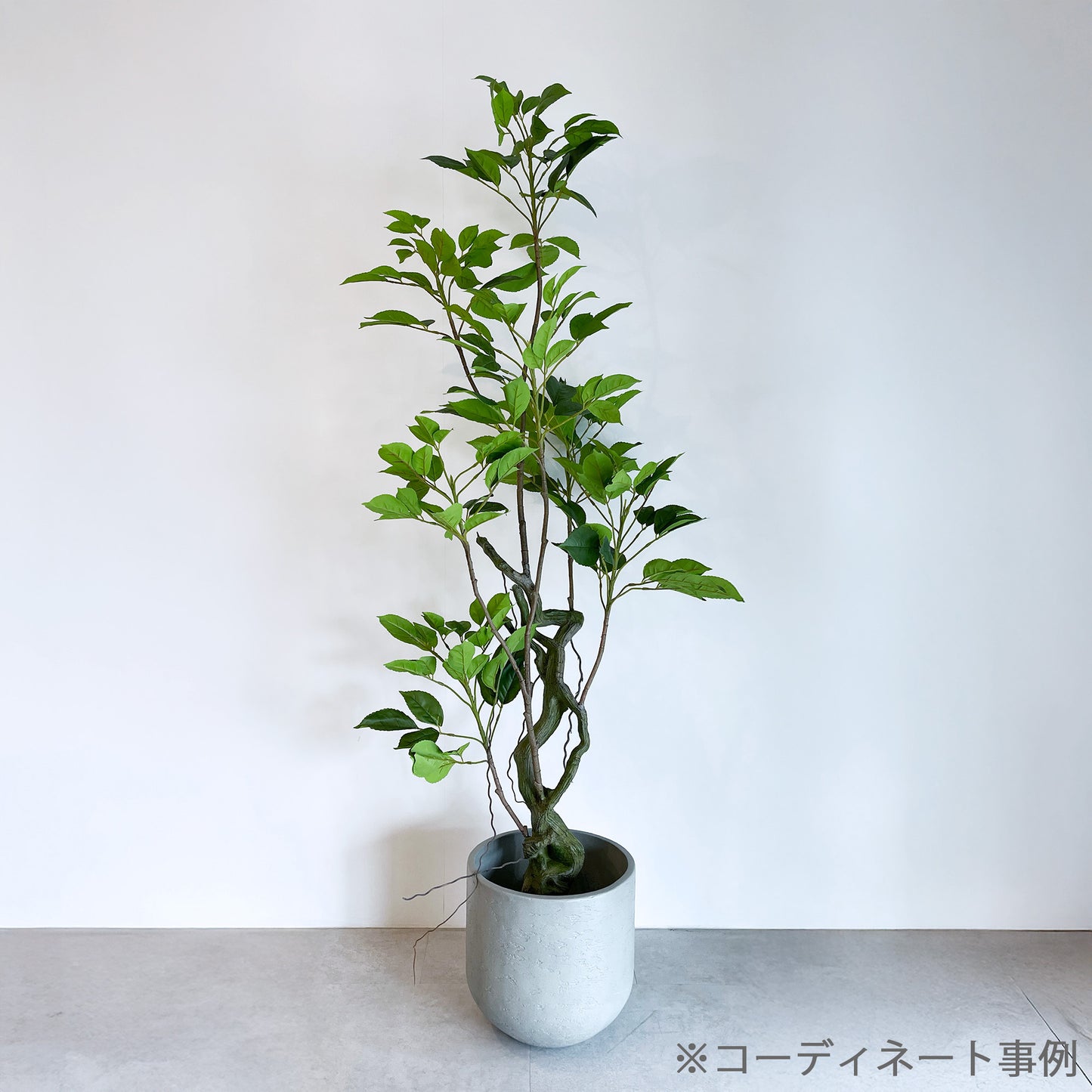 【大型フェイクグリーン】ヴェルディウス - Verdius 175cm