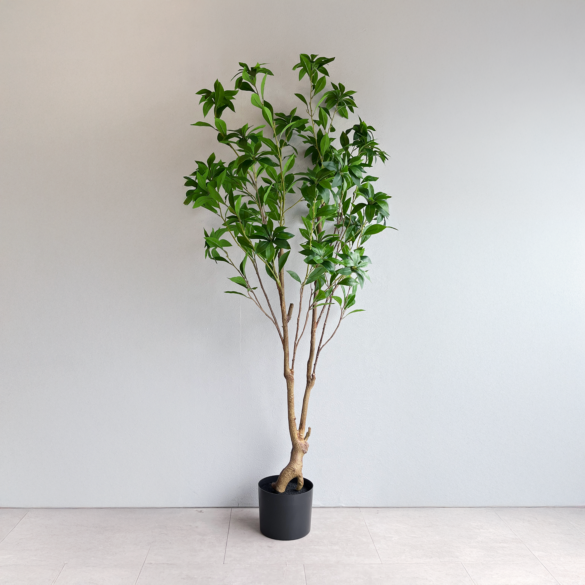 【大型フェイクグリーン】アセビ 150cm